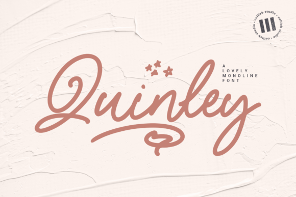 Elevate Your Web Design with Quinley Font