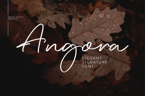 Enhance Your Brand with Angora: A Signature Font