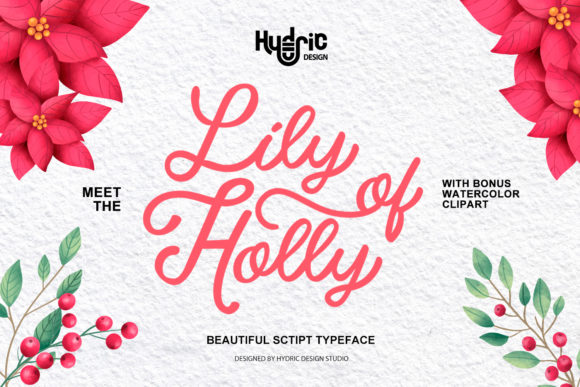 Transform Your Brand with Lily of Holy Font